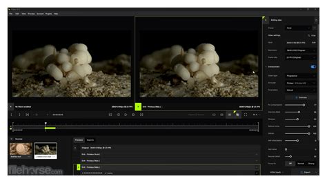 Image result for Topaz Video Enhance AI Tutorial