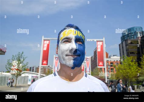 Image result for football fan painted face
