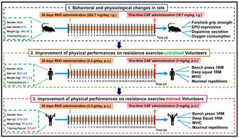 Synergistic Effect of Rhodiola rosea and Caffeine Supplementation on ...