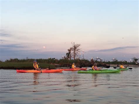 When an Island Disappears - Delaware Nature Society