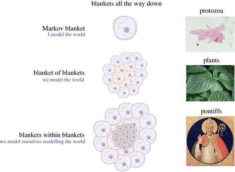 Integrating Markov Blankets/Kernels and Bioelectric Phenomena in ...