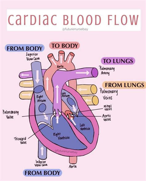Pin by Stefani Kovachka on handwriting | Medical school essentials, Medical school motivation ...