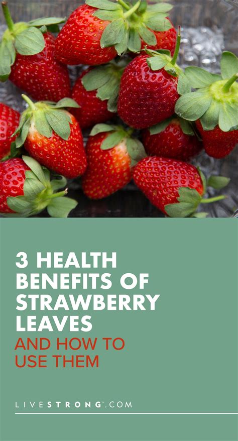 3 Health Benefits of Strawberry Leaves