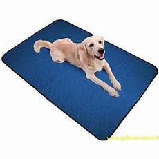 tappeto per cani tappeto refrigerante per cani aqua coolkeeper tappeto per cani tappeto refrigerante per cani aqua coolkeeper