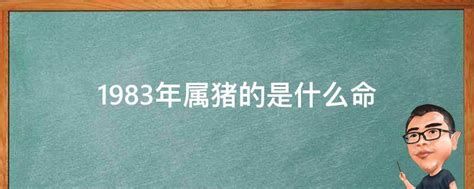 1983年属猪的是什么命 - 业百科