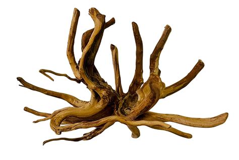 Shop Drift Wood at FRESHWATERAQUATICA | FRESHWATERAQUATICA