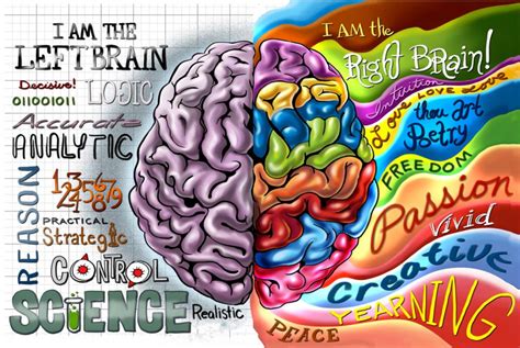 Image result for Visual vs Auditory Processing