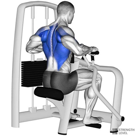 Row Machine Using 的图像结果