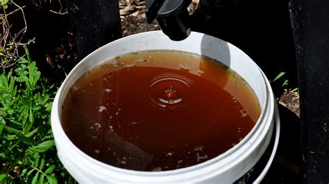 How To Make Compost Tea: Simple Compost Tea Recipe For Your Plants And ...