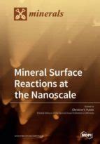MINERAL SURFACE REACTIONS AT THE NANOSCALE | | MDPI AG | Casa del Libro