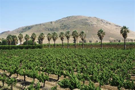 SEQUOIA VIEW VINEYARD (Sanger) - B&B Reviews, Photos, Rate Comparison ...