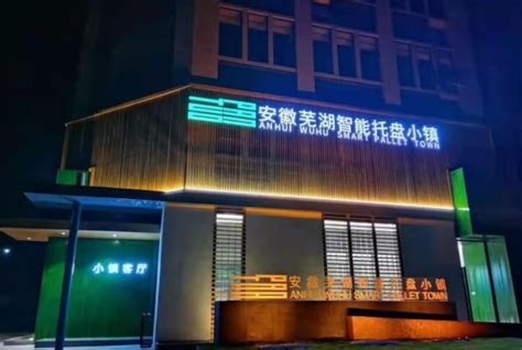 芜湖市湾沚区花桥镇：打造新型数字乡村，推动城乡融合发展 安徽网信网