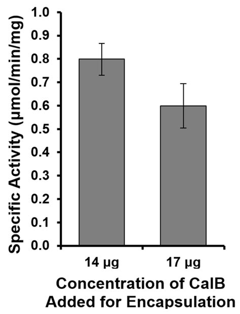 Streamlined Production, Protection, and Purification of Enzyme ...