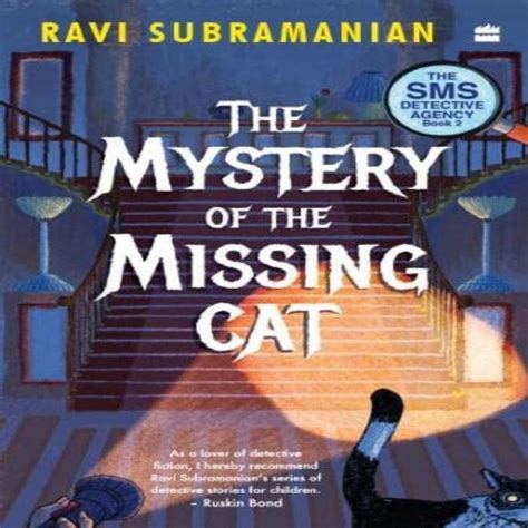 The Mystery Of The Missing Cat — Toycra