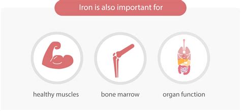 How ferritin is connected with COVID-19? - Mindray India