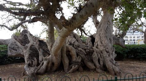 The Symbolic Significance of the Cross in the Bible - John Baptist Church