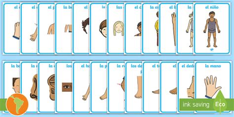 Pósters: Las partes del cuerpo (teacher made) - Twinkl