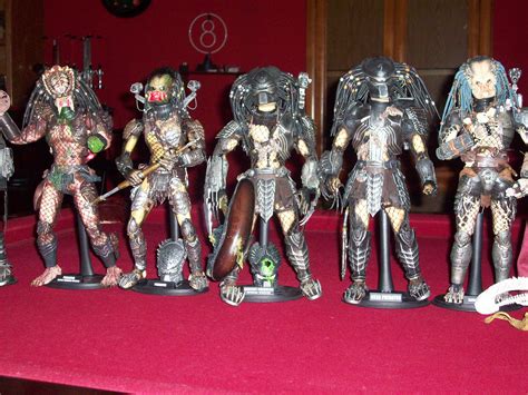Image result for Predator Collection