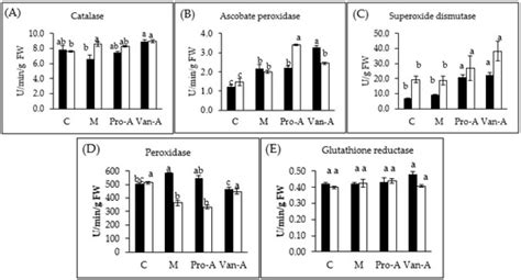 Effects of Exogenous Application of Protocatechuic Acid and Vanillic ...