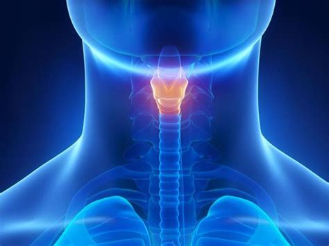 Neck Design Cutting 的图像结果