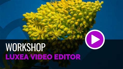 Image result for ACDSee Lessons