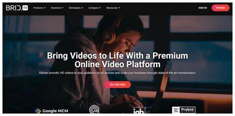 Image result for HTML5 Video Player Best