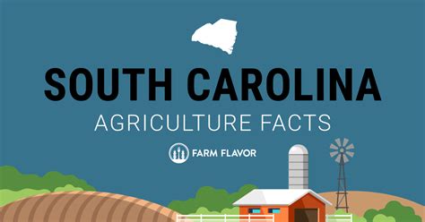 South Carolina Agriculture 的图像结果
