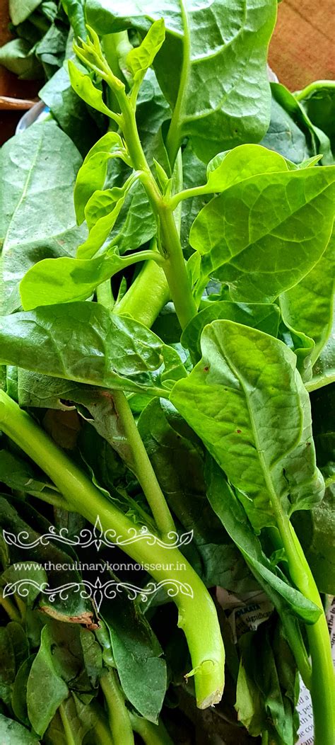 Malabar Spinach Curry – Vaali Bendi – The Culinary Konnoisseur