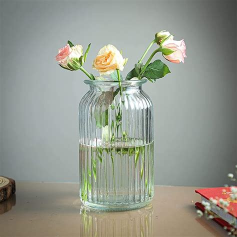Buy HOLLIO Glass Flower Vases, Bulk Plant Vases,1 Pack Modern Flower ...