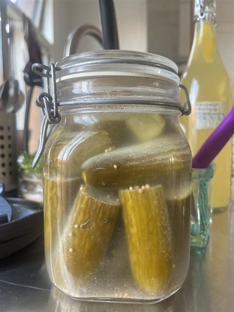White sediment in fermented cucumber pickles : r/fermentation