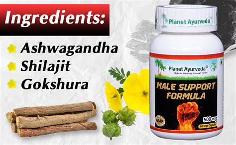 Buy Planet Ayurveda Male Support formula Capsules - 60 Capsules Online ...