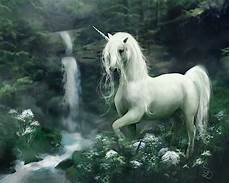 any color large unicorn wall unicornio fondo de pantalla and fondo de escritorio any color large unicorn wall unicornio fondo de pantalla and fondo de escritorio