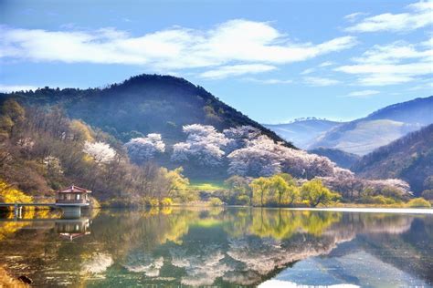 春暖花开自然风景 - 免费可商用图片 - CC0素材网