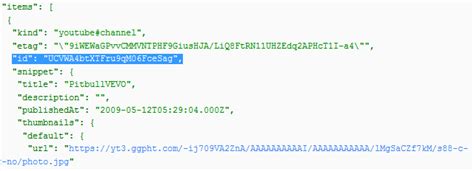 YouTube API Example 的图像结果