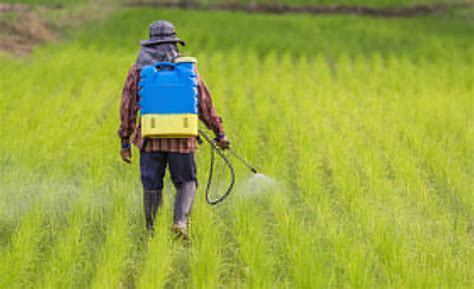Can Eating Organic Help Prevent Parkinson’s Disease? | NewsClick
