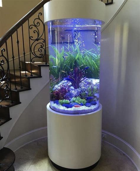 Hexagon Fish Tank Ideas at Alyssa Geddes blog