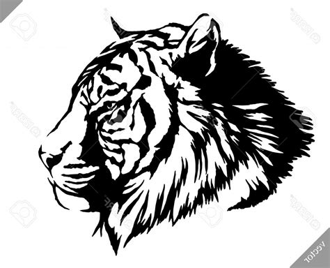 Tiger Vector 的图像结果