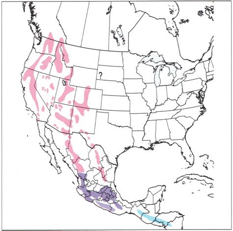 All 14 Owls in Oregon [With Sounds & Pictures]