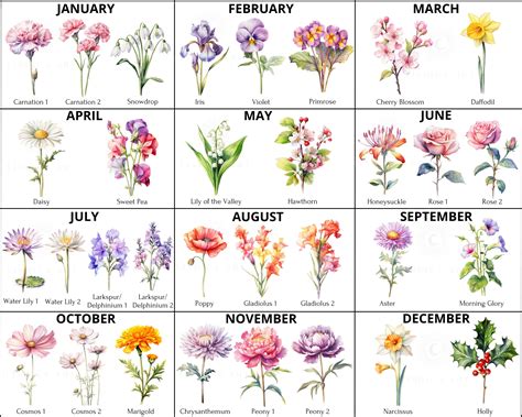 Birth Month Flowers Editable Template, Mother's Day Gift, Custom Family ...