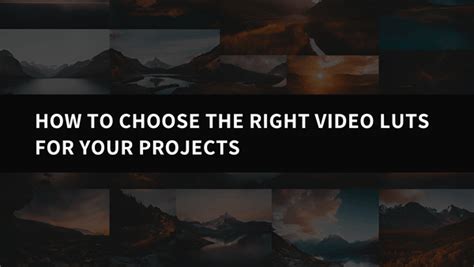 How to Choose the Right Video LUTs for Your Projects: A Comprehensive ...