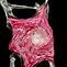 Image result for Murano Pink Overshot Art Glass
