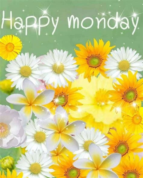 Happy Monday Flowers Images at Georgia Lucas blog