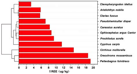 The Bioaccumulation, Fractionation and Health Risk of Rare Earth ...