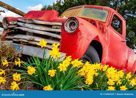 Image result for Spring Cars