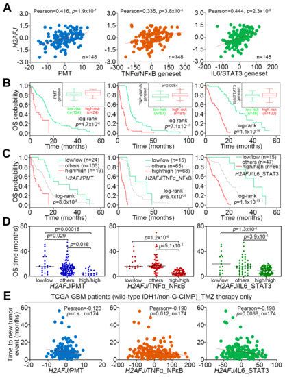 Histone 2A Family Member J Drives Mesenchymal Transition and ...