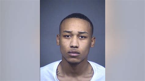 Police use grappler to stop man accused of speeding, firing shots in ...