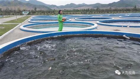 Chanthabur的养鱼场将鱼放入水中的漂浮网养殖农场生产苗圃水产风景工作竹子高清图片下载-正版图片321323878-摄图网
