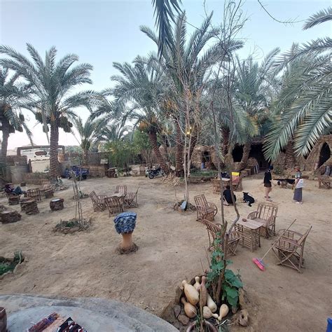 FOREST CAMP SIWA - Campground Reviews & Photos - Tripadvisor