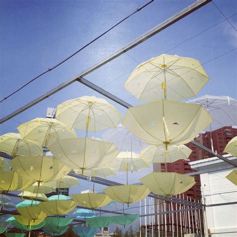 Umbrellas upside down