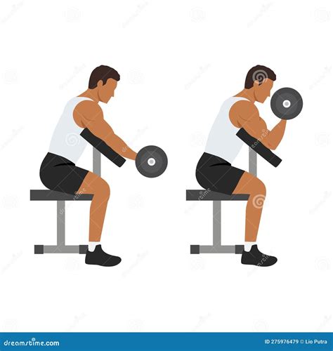 Man Doing One Arm Dumbbell Preacher Curl Side View Stock Illustration ...